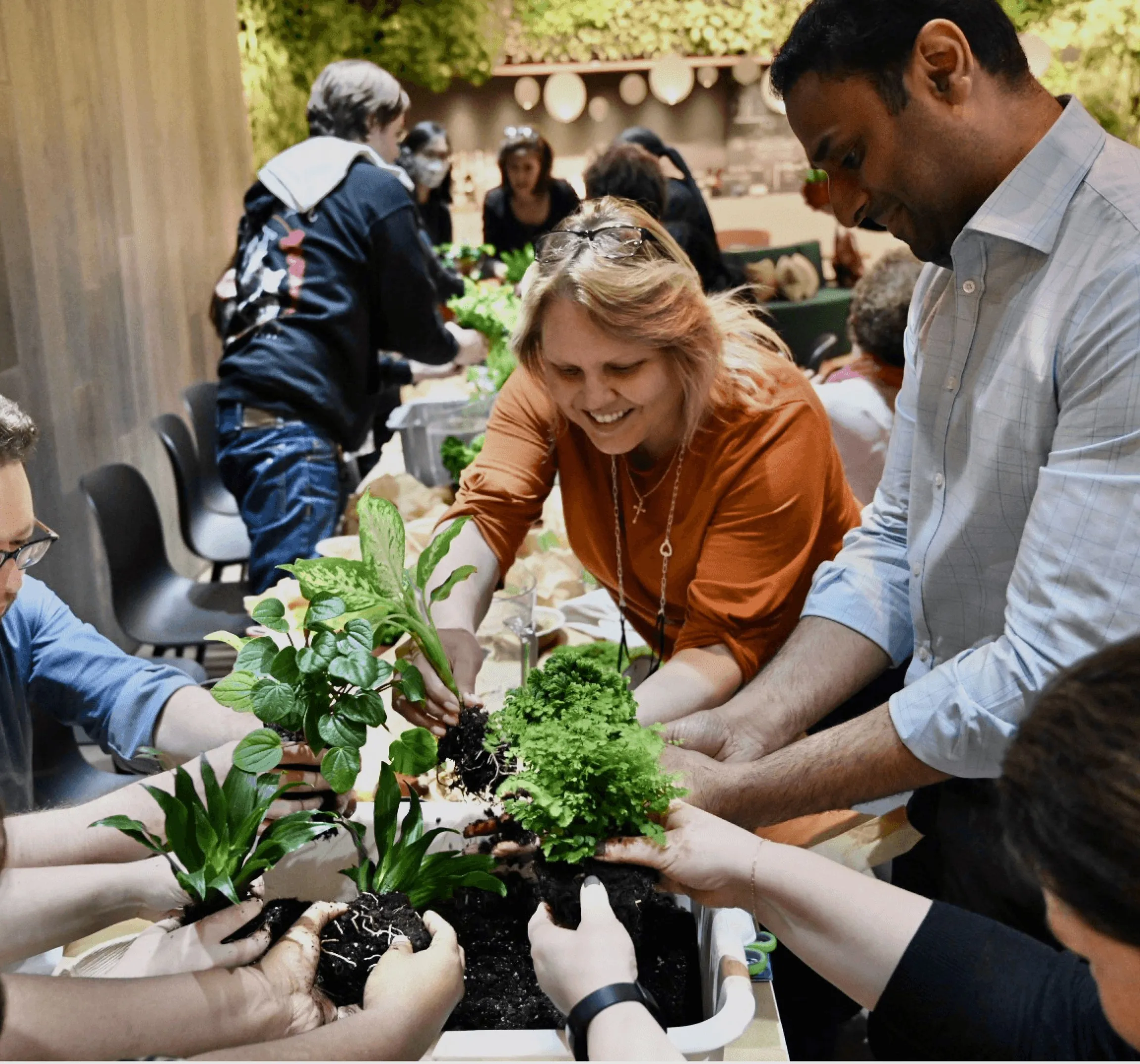 People engaging in a planting activity, placing plants in pots on a table.